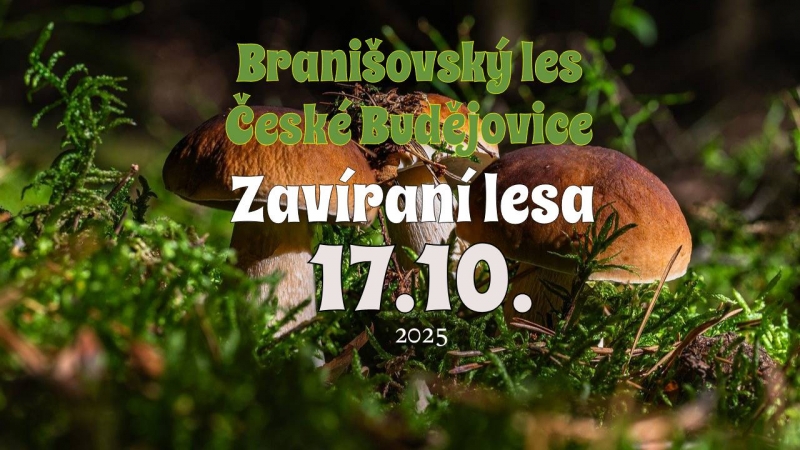 Zavírání lesa